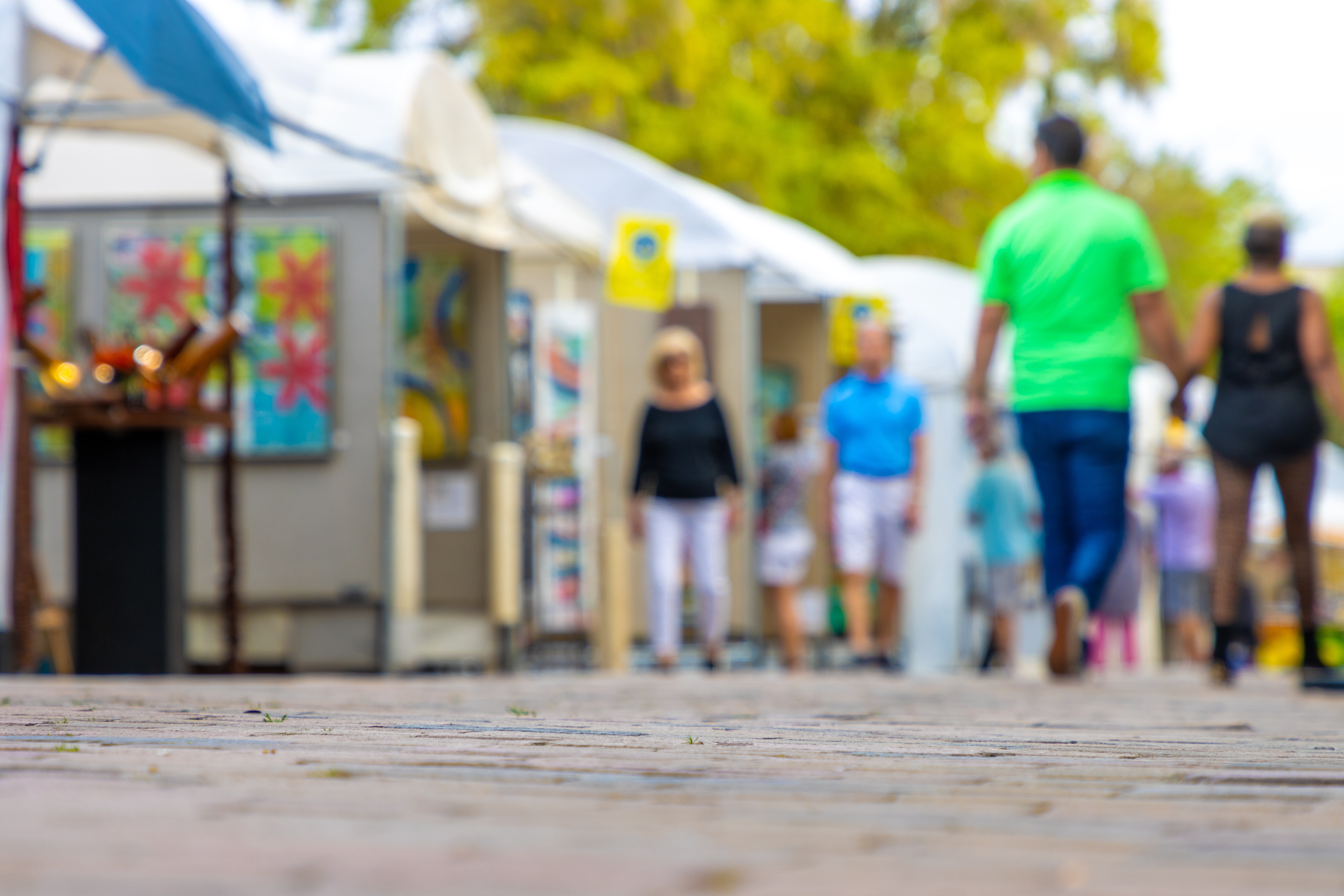 Steamboat Art in the Park Event
